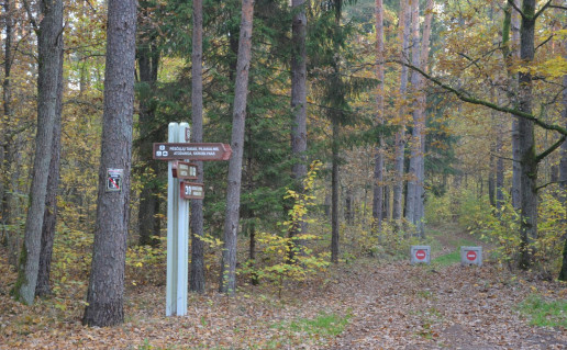 31.1. Šilpelkės pažintinis pėsčiųjų takas.jpg